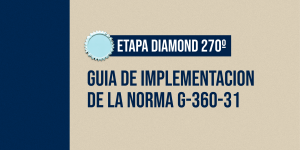 GUIA DE IMPLEMENTACIÓN NORMA G-360-31