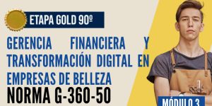 Norma Internacional G-360-50-ETAPA GOLD: Gerencia Financiera y Transformación Digital en Empresas de Belleza
