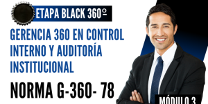 Norma Internacional G-360-83-ETAPA BLACK: Gerencia 360 en Control Interno y Auditoría Institucional