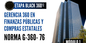 Norma Internacional G-360-81-ETAPA BLACK: Gerencia 360 en Finanzas Públicas y Compras Estatales