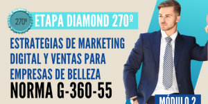 Norma Internacional G-360-55-ETAPA DIAMOND: Estrategias de Marketing Digital y Ventas para Empresas de Belleza
