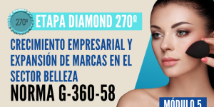 Norma Internacional G-360-58-ETAPA DIAMOND: Crecimiento Empresarial y Expansión de Marcas en el Sector Belleza