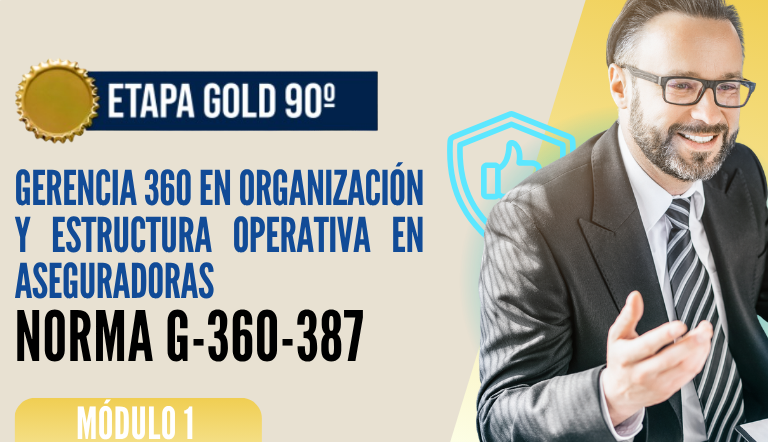 Norma Internacional G-360-387-ETAPA GOLD: Gerencia 360 en Organización y Estructura Operativa en Aseguradoras