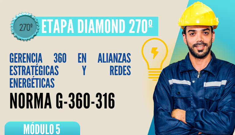 Norma Internacional G-360-316-ETAPA DIAMOND: Gerencia 360 en Alianzas Estratégicas y Redes Energéticas