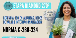 Norma Internacional G-360-334-ETAPA DIAMOND: Gerencia 360 en Alianzas, Redes de Valor e Internacionalización
